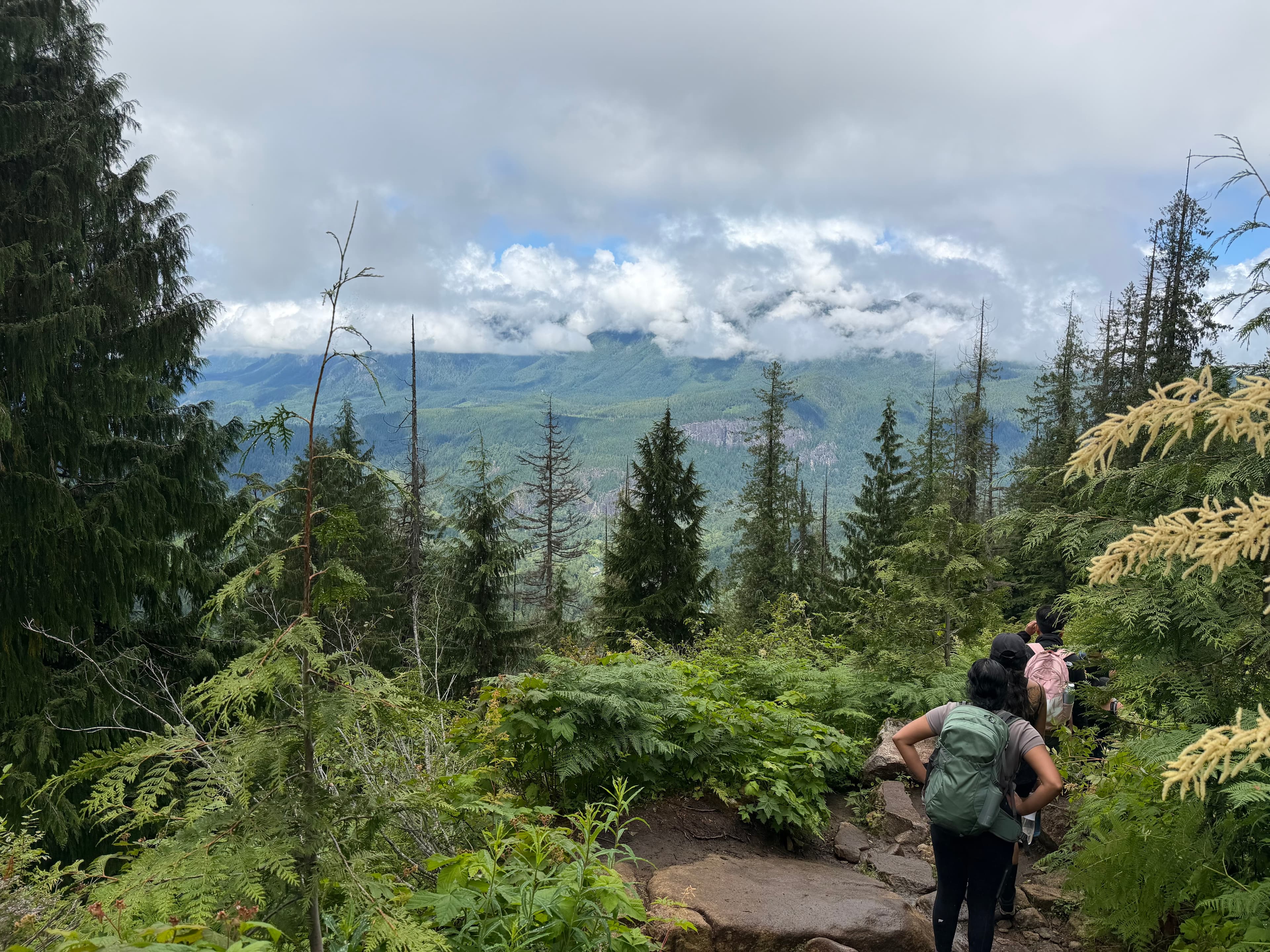 Hiking trail view